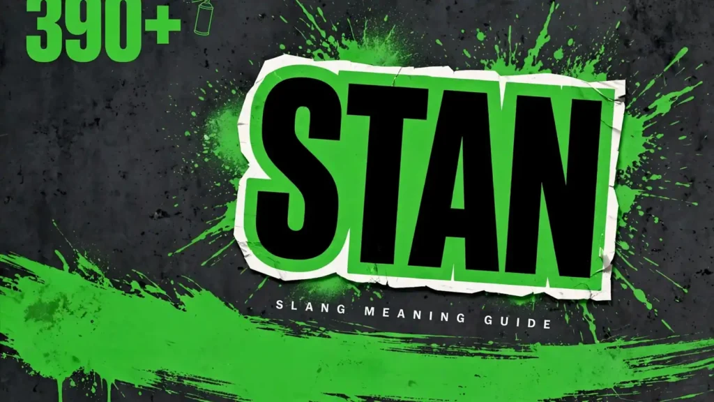 What Does Stan Mean In Slang